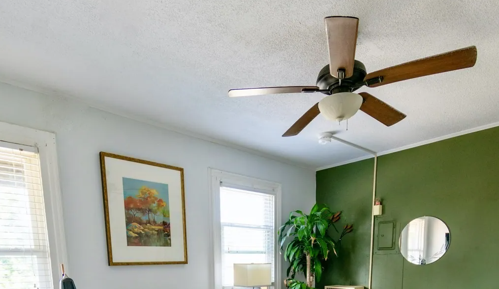 Popcorn Ceilings